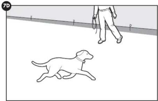 PETSAFE Stay & Play PIF0013663 - Option 1: - 1