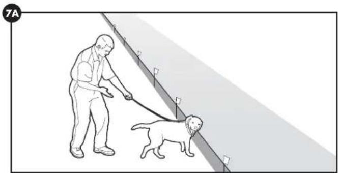 PETSAFE Stay & Play PIF0013663 - Dias 5-8 - 1