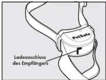 PETSAFE Stay & Play PIF0013663 - Schritt 2: Empfängerhalsband laden - 3
