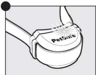 PETSAFE Stay & Play PIF0013663 - 3A - 3