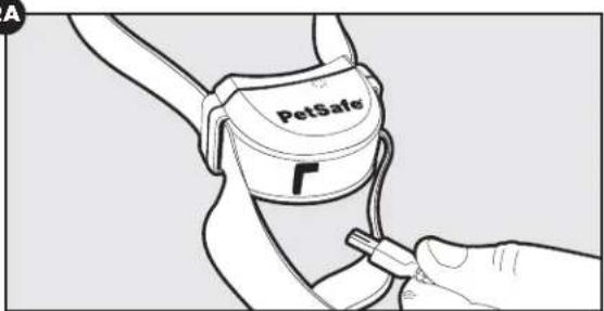 PETSAFE Stay & Play PIF0013663 - Charge the Receiver Collar - 2
