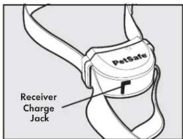 PETSAFE Stay & Play PIF0013663 - Step 2: Charge the Receiver Collar - 3