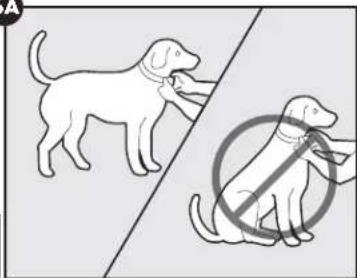 PETSAFE Stay & Play PIF0013663 - VORSIGHT - 1