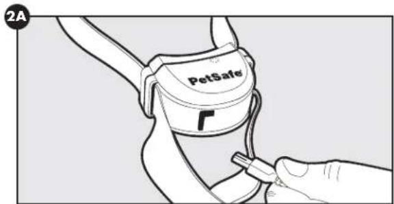 PETSAFE Stay & Play PIF0013663 - Cargar el collar receptor - 1
