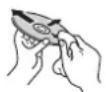 KENWOOD DDX8901HD - Pour garder les disques propres - 1
