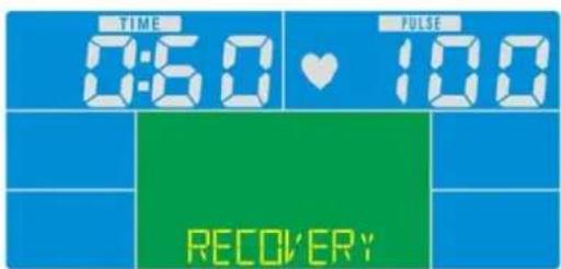 Skandika CardioCross Carbon Champ - Recovery - 1