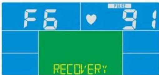 Skandika CardioCross Carbon Champ - WATT Mode - 4