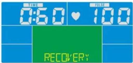 Skandika CardioCross Carbon Champ - Recovery (Herzerholungsratenmessung) - 1