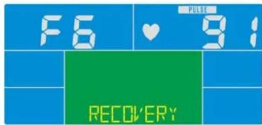 Skandika CardioCross Carbon Champ - Recovery (Herzerholungsratenmessung) - 2