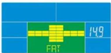 Skandika CardioCross Carbon Champ - Body Fat - 2