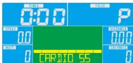 Skandika CardioCross Carbon Champ - Sporty Mode (Expert) - 5