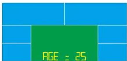 Skandika CardioCross Carbon Champ - Sporty Mode (Expert) - 4