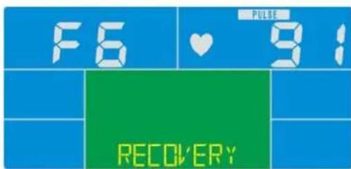 Skandika CardioCross Carbon Champ - Recovery - 2