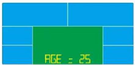 Skandika CardioCross Carbon Champ - Programmmodus für Experten (Sporty) - 4