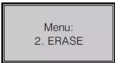 Perel AOBD2 - Erasing Codes - 3