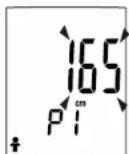 Cresta CBS 370 - Réglage de la stature - 2