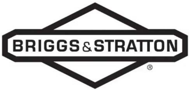 BRIGGS & STRATTON Power Protect 26kW - Especificaciones del motor - 1