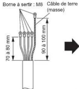 FUJITSU AIRSTAGE AJY144LALDH - Comment raccorder le cablage à la borne - 5