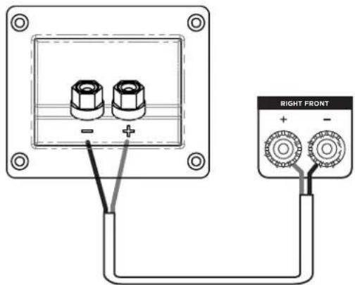 POLK Monitor XT20 - Basisansluiting voor luidspreker - 1
