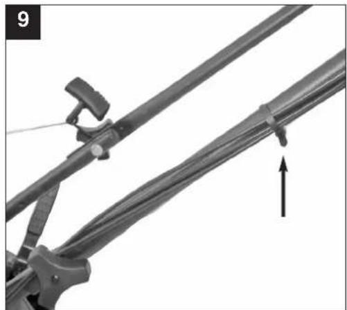 FLORABEST L 446 S - OE AT CH - 10