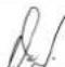 FLORABEST L 446 S - Benzin-Rasenmacher L 446 S (Florabest) - 1