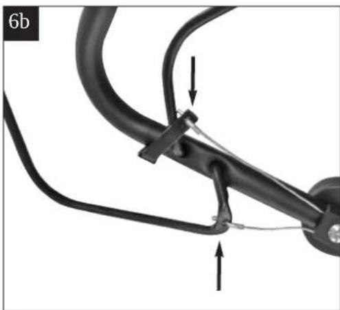 FLORABEST L 446 S - OE AT CH - 7