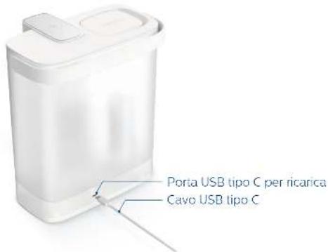 PHILIPS Micro XClean AWP2980 - Utilizzo del disposativo - 2
