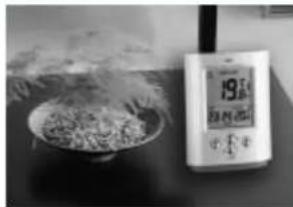 TECHNOLINE WS 9005 - 2