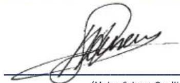 Batavia Green Keeper 7056815 - EG-KONFORMITÄTSERKLÄRUNG D - 1