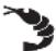 RUSSELL HOBBS Satisfry 2650056 - FUNKTIONER TIL AUTOAMTISK TILBEREDNING - 2