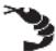 RUSSELL HOBBS Satisfry 2650056 - AUTOTILLAGNINGSFUNKTIONER - 2