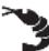 RUSSELL HOBBS Satisfry 2650056 - ΛΕΙΤΟΥΡΓΙΕΣ ΑΥΤΟΜΑΤΟΥ ΜΑΓΕΙΡΕΜΑΤΟΣ - 2