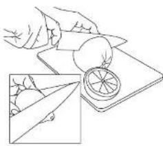 VINCI E19010 - HOW TO USE YOUR HANDS FREE CITRUS JUICER - 3