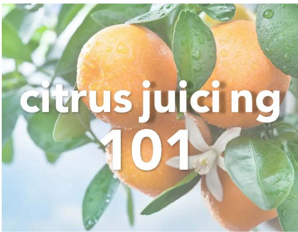 VINCI E19010 - HANDS FREE CITRUS JUICER - 2