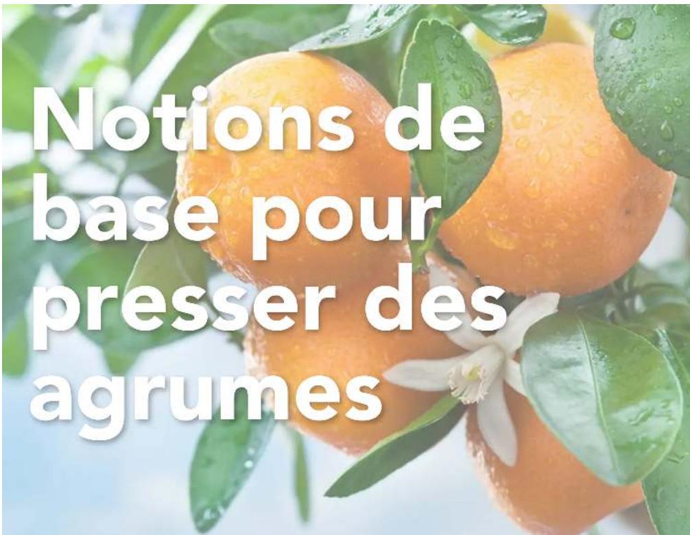 VINCI E19010 - PRESSE-AGRUMES MAINS LIBRES - 2