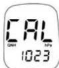JDC Skywatch Xplorer 1 - Calibration de pression relative (QNH) : - 1