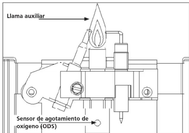 Llama auxiliar Sensor de agotamiento de oxigeno (ODS)