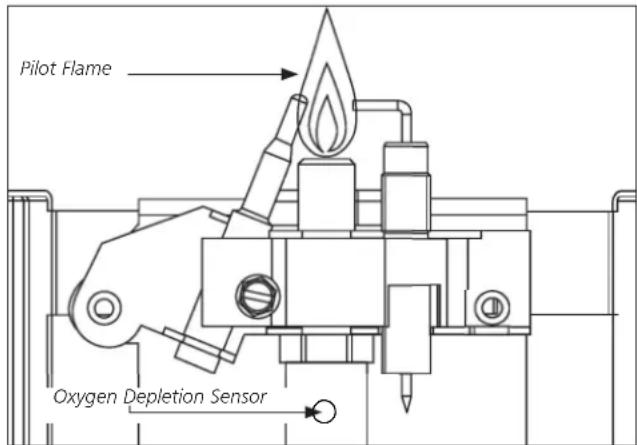 Pilot Flame Oxygen Depletion Sensor