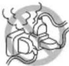 CITIZEN CTE351 - Please observe the following precautions for power source and power cord: - 3