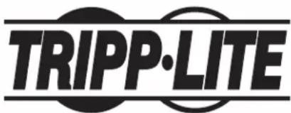 Tripp Lite B032VUA4 - Información de cumplimiento de WEEE para clients y recicladores de Tripp Lite (Unión Europea) - 2