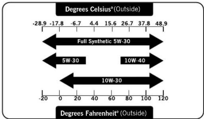 Champion 73001iDF - TEATIS - 1