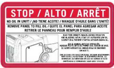 Champion 73001iDF - 2