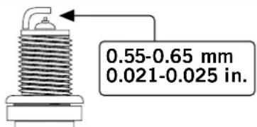 Champion 73001iDF - Süüteküünlad - 1
