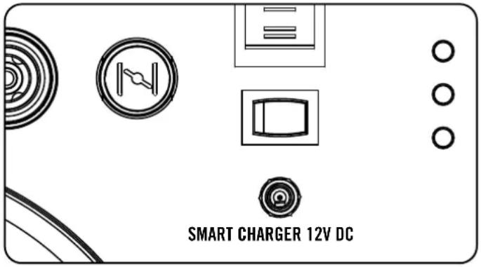 Champion 73001iDF - Intelligentes Ladegerät - 1