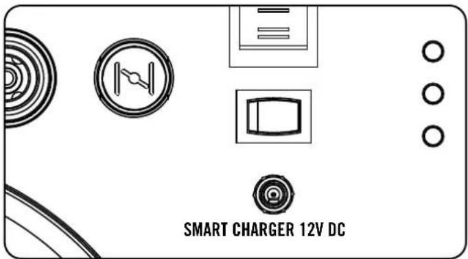Champion 73001iDF - Smart Charger - 1