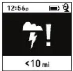 BUSHNELL BackTrack GPS FishTrack - VISUALIZACION DE LAS PANTALLAS DE DATOS - 2