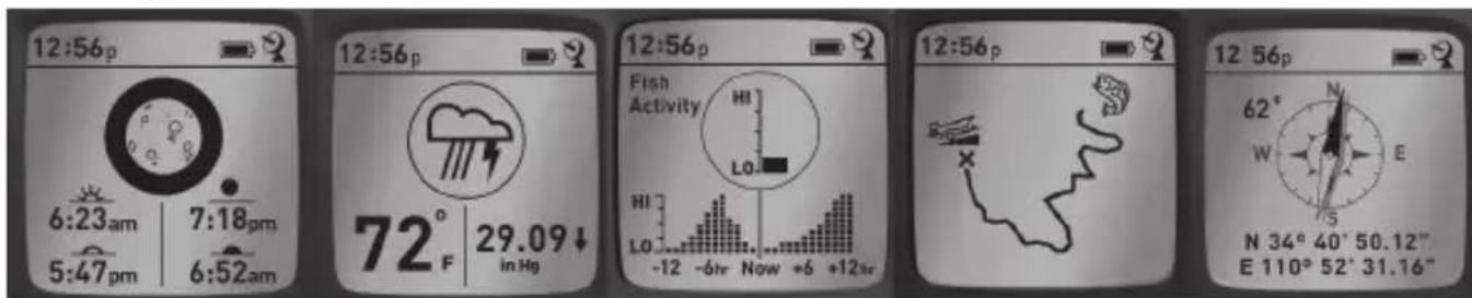 BUSHNELL BackTrack GPS FishTrack - VISUALIZACION DE LAS PANTALLAS DE DATOS - 1