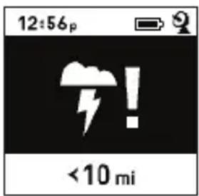 BUSHNELL BackTrack GPS FishTrack - Avvertenze dell'indicatore di fulmini: - 1