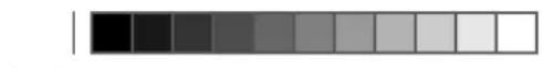 TOP CRAFT TCMS 12 0 Li - Akku-Multifunktionsswerkzeug TCMS 12,0 Li / Ladegerät 12,0 Li Mod. A246-1h (Top Craft) - 3