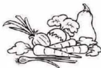 PROLINE PRI122F4F - Vegetable and fresh fruit - 1